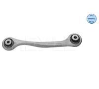 Braccio oscillante Assale posteriore Dx Asta di guida 016 035 0047 MEYLE