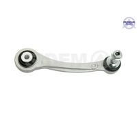 Braccio oscillante Assale posteriore Dx Braccio longitudinale oscillante 21653