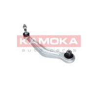 Braccio oscillante Assale posteriore Dx Braccio longitudinale oscillante 9050083