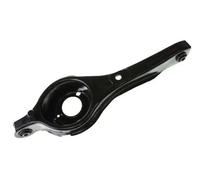 Braccio oscillante Assale posteriore Dx Braccio trasversale oscillante 110005210