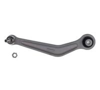 Braccio oscillante Assale posteriore Dx Braccio trasversale oscillante D120735