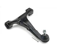 NTY Braccio oscillante, Sospensione ruota compatibile con HYUNDAI ZWT-HY-516