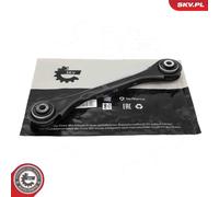 Braccio oscillante Assale posteriore inferiore Braccio trasversale oscillante