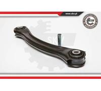 Braccio oscillante Assale posteriore inferiore Braccio trasversale oscillante