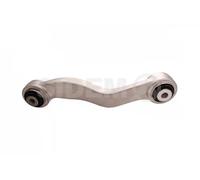 SIDEM Asta/Puntone sospensione 21874 Braccio posteriore Sx per BMW 5 F10, 6 F12/F13, 7 F01