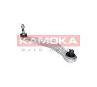 Braccio oscillante Assale posteriore Sx Braccio longitudinale oscillante 9050082