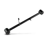 NTY Braccio oscillante ZWT-NS-008 – Sospensione ruota posteriore per Nissan X-Trail T30 (Sx)