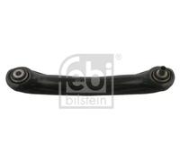 Braccio oscillante Assale posteriore Sx Braccio trasversale oscillante 02110