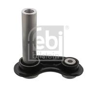 Braccio oscillante Assale posteriore Sx Braccio trasversale oscillante 12299