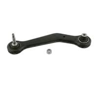 Braccio oscillante Assale posteriore Sx Braccio trasversale oscillante 23952