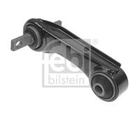 Braccio oscillante Assale posteriore Sx Braccio trasversale oscillante 41203