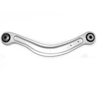 Braccio oscillante Assale posteriore Sx Braccio trasversale oscillante 49395496