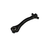 Braccio oscillante Assale posteriore Sx Braccio trasversale oscillante J94002YMT