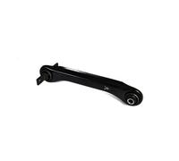 Braccio oscillante Assale posteriore Sx Braccio trasversale oscillante J95025YMT