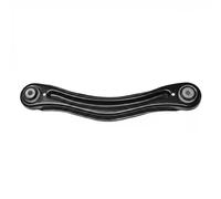 Braccio oscillante Assale posteriore Sx Braccio trasversale oscillante RTS