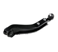 NTY ZWD-PL-019 Braccio oscillante, sospensione ruota