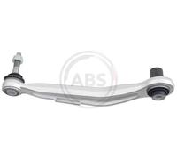 Manubrio Sospensione ruota posteriore sx fuori su Stati limitata.