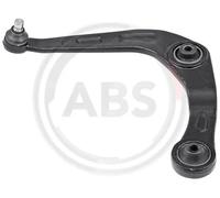 Manubrio Sospensione ruota ant. sx fuori sotto Stati limitata.