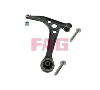 FAG 821 0253 10 Braccio oscillante, sospensione ruota