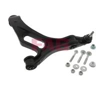 FAG Braccio oscillante, Sospensione ruota per PORSCHE VW 821 0670 10