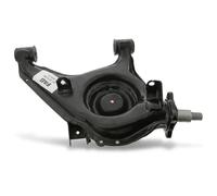 FAG 821 0729 10 Braccio oscillante, sospensione ruota