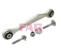 Schaeffler FAG Braccio oscillante 821 0799 10 - asse posteriore destro per Audi A6 C7