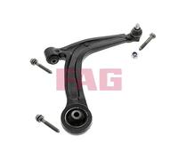 821 0875 10 FAG Braccio oscillante, Sospensione ruota per ABARTH,FIAT