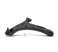 Braccio oscillante Assale posteriore Sx Braccio trasversale oscillante S060306