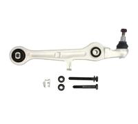 REINHOCH RH04-0003 Braccio oscillante, sospensione ruota