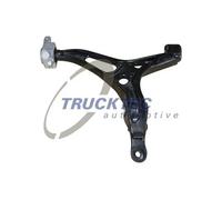 Braccio oscillante inferiore Braccio trasversale oscillante 02.31.166