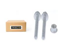 TRISCAN 8500 295208 Braccio oscillante, sospensione ruota