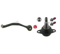 Braccio oscillante + Perno braccio oscillante FEBI BILSTEIN per BMW E83