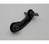 Braccio oscillante Assale posteriore Sx triangolare ZWT-MS-003 NTY
