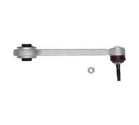 Braccio oscillante posteriore sinistro/destro per BMW X5 (E53)