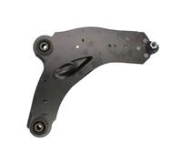 Braccio oscillante RH04-2036 REINHOCH