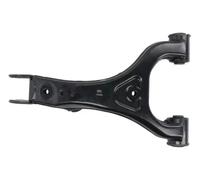 Braccio oscillante RH05-5021 REINHOCH