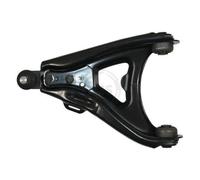 A.B.S. Braccio oscillante, Sospensione ruota compatibile con RENAULT 210861