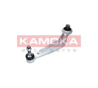 Braccio oscillante, Sospensione ruota Assale posteriore Dx per ALPINA BMW 5 6 7