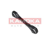 Braccio oscillante, Sospensione ruota Assale posteriore per BMW BMW (BRILLIANCE)