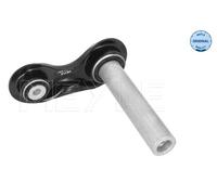 Braccio oscillante, Sospensione ruota Assale posteriore Sx per BMW X5 X6