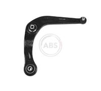 Braccio oscillante, Sospensione ruota Esterno per PEUGEOT 206