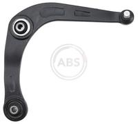 Braccio oscillante, Sospensione ruota Esterno per PEUGEOT 206 206 Van 206+