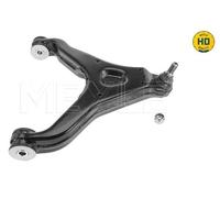 Braccio oscillante, Sospensione ruota inferiore per IVECO DAILY