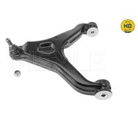 Braccio oscillante, Sospensione ruota inferiore per IVECO DAILY