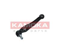 Braccio oscillante, Sospensione ruota posteriore per BMW 5 X5 X6