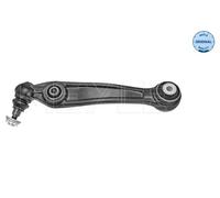 Braccio oscillante, Sospensione ruota posteriore per BMW X5 X6