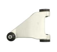 Braccio oscillante Spoiler anteriore RH04-1043 REINHOCH