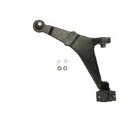 REINHOCH RH04-2026 Braccio oscillante, sospensione ruota