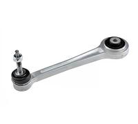 NTY ZWT-BM-008 Braccio oscillante, sospensione ruota