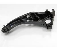 NTY Braccio oscillante – assale posteriore sinistro inferiore